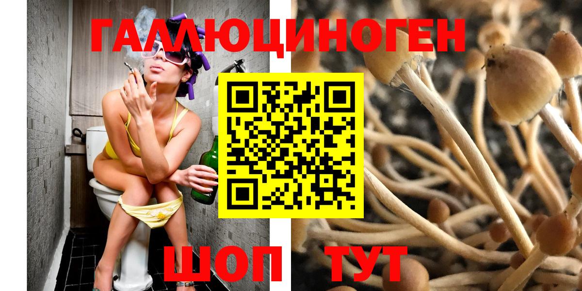 Кудрово  Псилоцибиновые грибы Magic Shrooms  Вход с VPN 