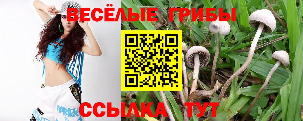 Галлюциногенные грибы Cubensis Кудрово