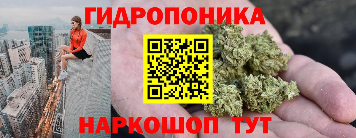 Шишки марихуана индика Кудрово