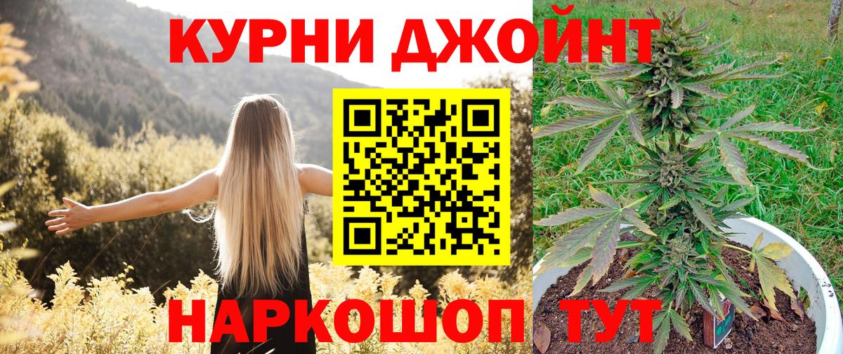 Кудрово  Шишки марихуана VHQ  Вход с VPN  Марихуана планчик  Шишки марихуана VHQ 
